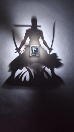 Shadow lamp zoro one - zoro,