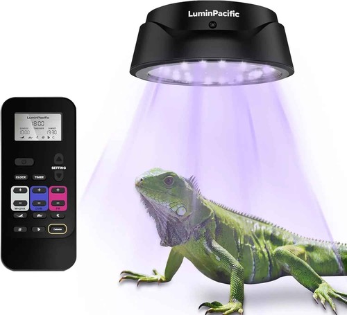 Luce led per rettili con - led,